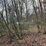 Eladó telek, Kismaroson, Kilátó utcában 11 M Ft