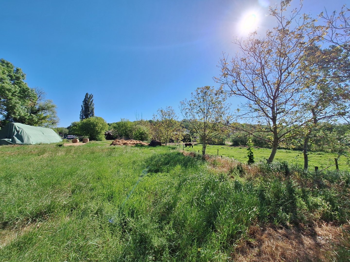 778m² · 11.900.000 ft