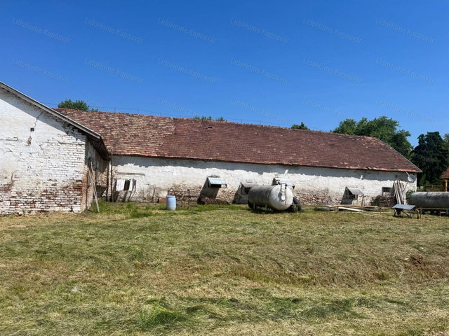 Eladó mezogazdasagi ingatlan, Ladon 199 M Ft / költözzbe.hu