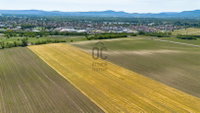 Eladó mezogazdasagi ingatlan, Dunakeszin 65 M Ft