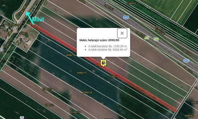 Eladó mezogazdasagi ingatlan, Makón 2.2 M Ft
