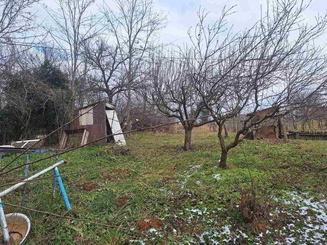Eladó mezogazdasagi ingatlan, Igalon 3.99 M Ft, 1 szobás