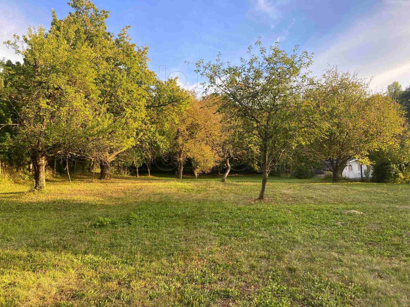 3010 m² · 29.900.000 Ft