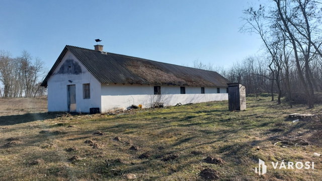 Eladó mezogazdasagi ingatlan, Hosszúpályin 159 M Ft