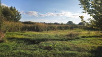 Eladó telek, Valkón 8 M Ft / költözzbe.hu