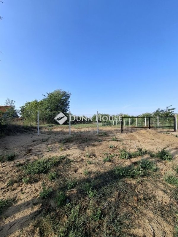 1137m² · 18.000.000 ft