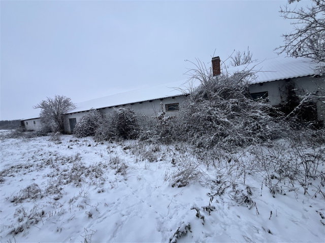 Eladó mezogazdasagi ingatlan, Sarkadon, Munkácsy Mihály utcában