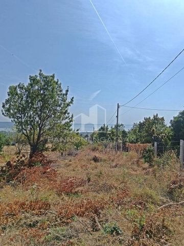 Eladó mezogazdasagi ingatlan, Balatonalmádiban 89 M Ft