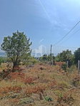 Eladó mezogazdasagi ingatlan, Balatonalmádiban 89 M Ft