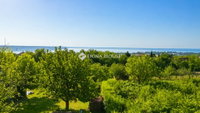 Eladó telek, Balatonalmádiban 79.9 M Ft / költözzbe.hu