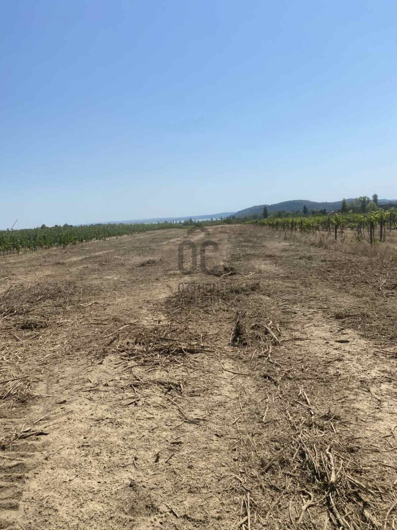 8902 m² · 15.900.000 Ft