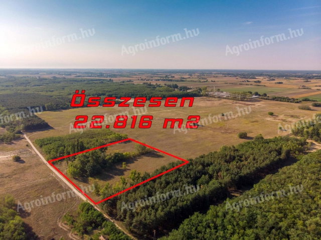 Eladó mezogazdasagi ingatlan, Lajosmizsén 3.5 M Ft