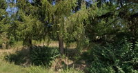 Eladó telek, Tilajon 7.199 M Ft / költözzbe.hu