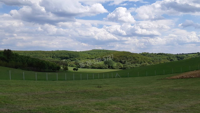 Eladó telek, Alsópetényen 6.8 M Ft / költözzbe.hu
