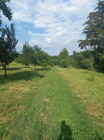 Eladó mezogazdasagi ingatlan, Kaposváron 9.9 M Ft