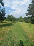 Eladó mezogazdasagi ingatlan, Kaposváron 9.9 M Ft
