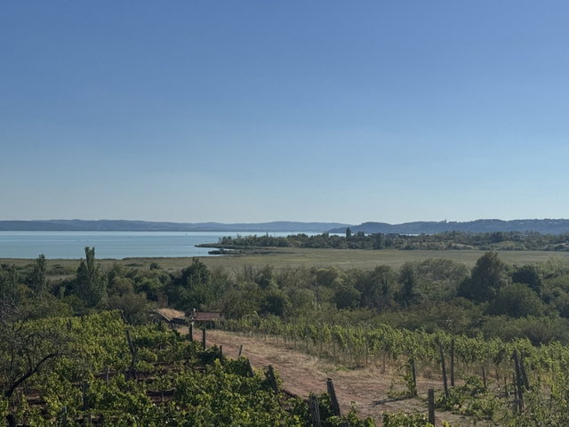 Eladó nyaraló, Csopakon 85 M Ft, 1+3 szobás
