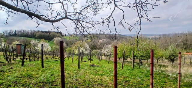 Eladó mezogazdasagi ingatlan, Boncodföldén 5.3 M Ft