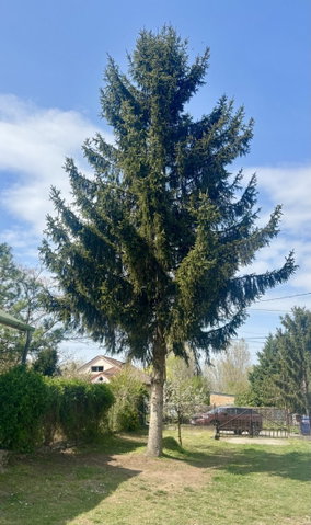 Eladó családi ház, Somon 39.9 M Ft, 3 szobás