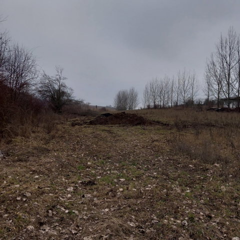 Eladó mezogazdasagi ingatlan, Szandán 50 M Ft, 3 szobás