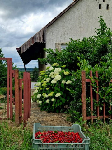 Eladó nyaraló, Zalaegerszegen 16.9 M Ft, 1+1 szobás