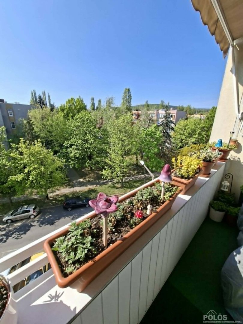 2 bed · 53m² · 55.000.000 ft