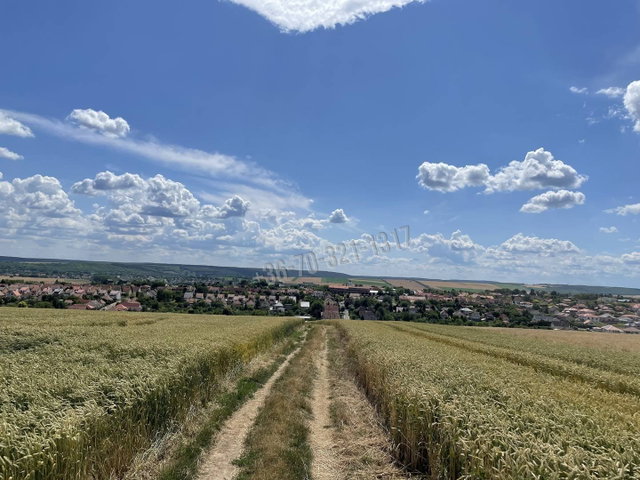 Eladó telek, Aszódon 27 M Ft / költözzbe.hu