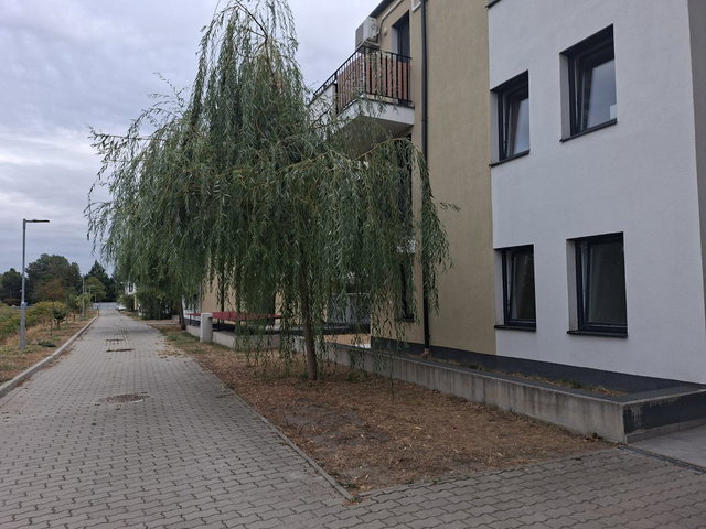 Eladó téglalakás, Budapesten, XI. kerületben 100 M Ft, 3 szobás