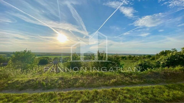 Eladó mezogazdasagi ingatlan, Somlószőlősön 6.9 M Ft