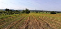 Eladó telek, Kőröshegyen 19.9 M Ft / költözzbe.hu