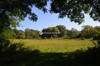 Eladó telek, Nyíradonyban 10 M Ft / költözzbe.hu