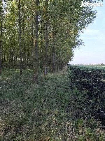 Eladó mezogazdasagi ingatlan, Sarkadkeresztúron 8.5 M Ft