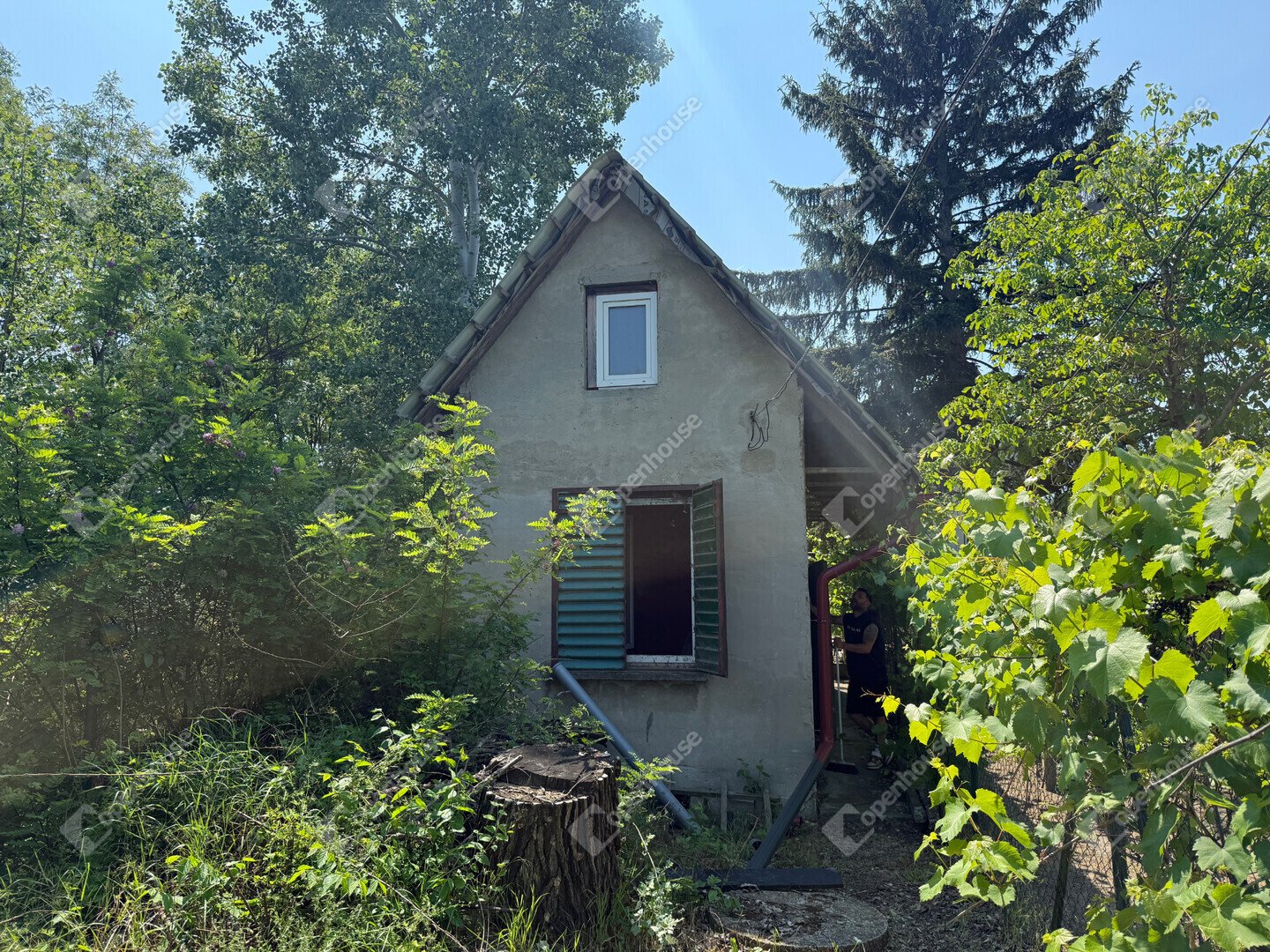 1181m² · 8.000.000 ft