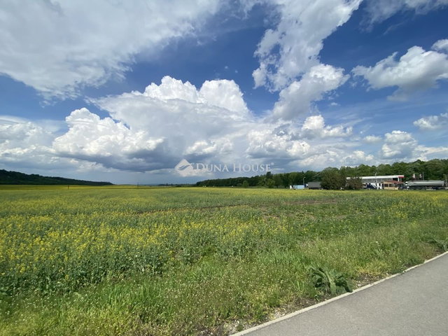 Eladó mezogazdasagi ingatlan, Szirmabesenyőn 1299.265 M Ft