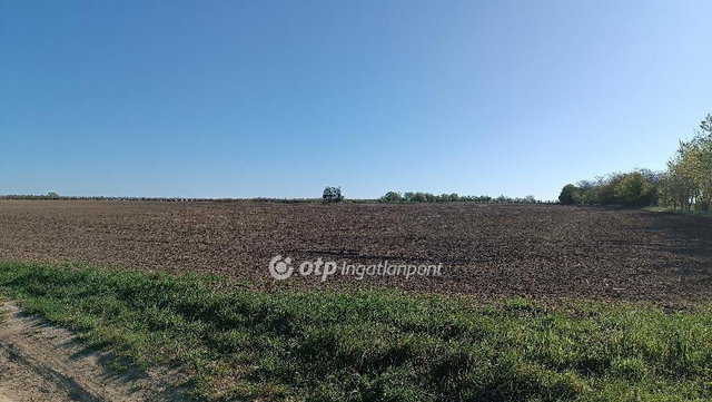 Eladó mezogazdasagi ingatlan, Érden 12.2 M Ft