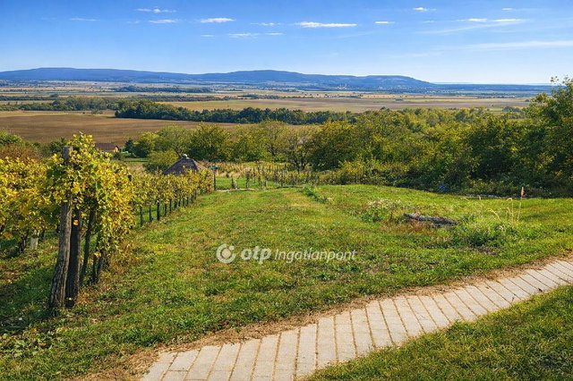Eladó mezogazdasagi ingatlan, Mindszentkállán 10.5 M Ft