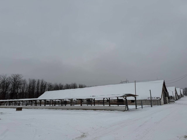 Eladó ipari ingatlan, Geszteréden 280 M Ft / költözzbe.hu