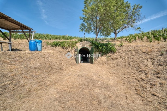 Eladó mezogazdasagi ingatlan, Tokajban 48.88 M Ft