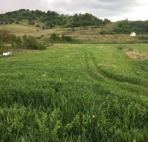 Eladó telek, Varbón 6 M Ft / költözzbe.hu