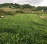 Eladó telek, Varbón 6 M Ft / költözzbe.hu