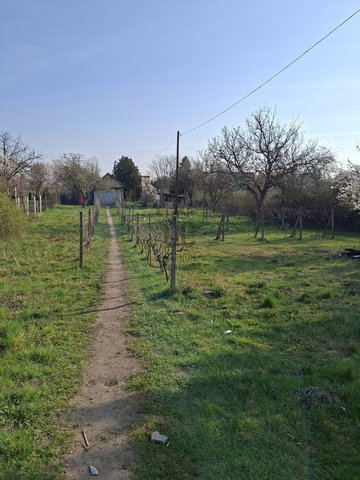Eladó családi ház, Budapesten, XXI. kerületben 32 M Ft, 1 szobás