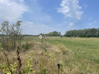 Eladó mezogazdasagi ingatlan, Szabadszálláson 6.5 M Ft