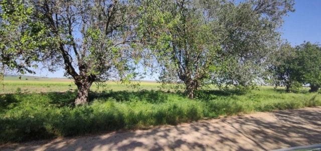 Eladó telek, Sajóvámoson 1.5 M Ft / költözzbe.hu