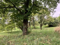 Eladó telek, Vöcköndön 0.7 M Ft / költözzbe.hu