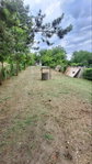 Eladó mezogazdasagi ingatlan, Gödöllőn 10.5 M Ft