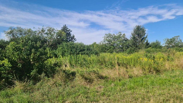 Eladó telek, Győrött 49.9 M Ft / költözzbe.hu