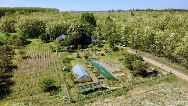 Eladó családi ház, Kecskeméten 54.5 M Ft, 2 szobás