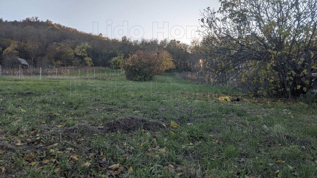 Eladó telek, Szigligeten 60 M Ft / költözzbe.hu