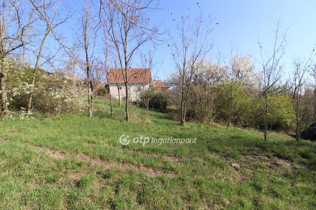 1658 m² · 69.900.000 Ft