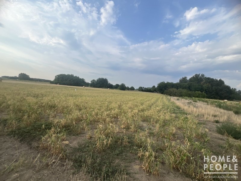 5490m² · 9.400.000 ft